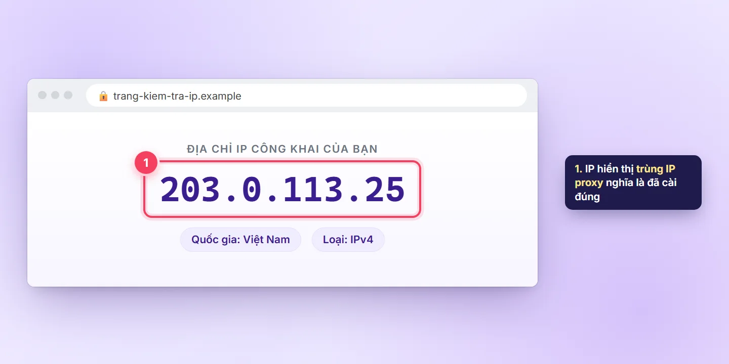 Trang kiểm tra IP hiển thị địa chỉ 203.0.113.25 trùng với IP proxy