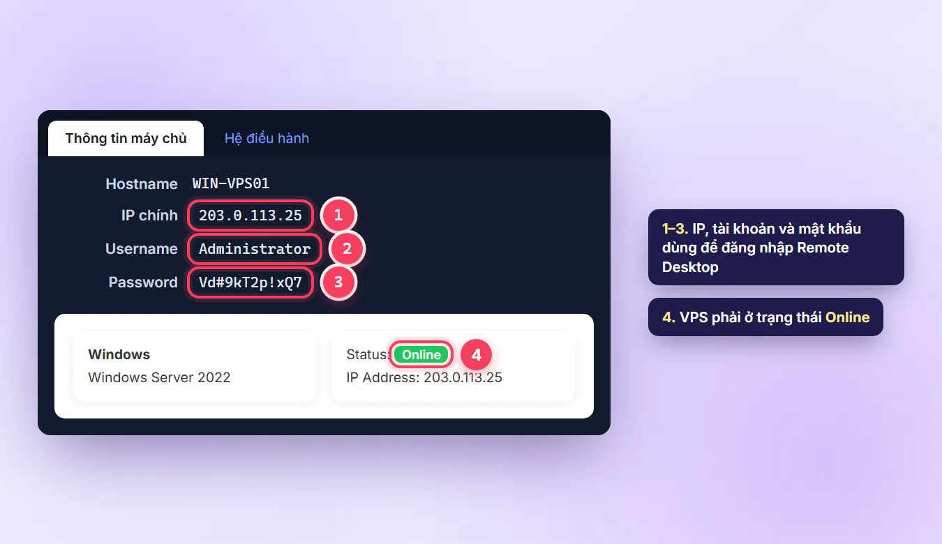 Phần Thông tin máy chủ trong trang quản lý VPS TDCLOUD hiển thị Hostname, IP chính, Username và Password
